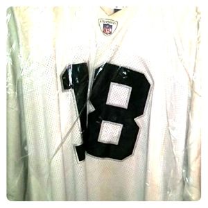 Authentic Raiders Randy Moss Jersey